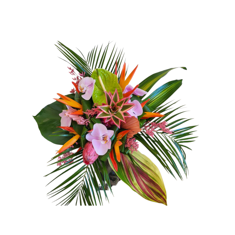 Photo Fleur Rond Bouquet rond fleurs exotiques | Fleurs tropicales | Fleurs Exotiques ...
