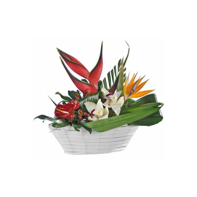 Panier floral Marie-Galante | Composition | Fleurs Exotiques