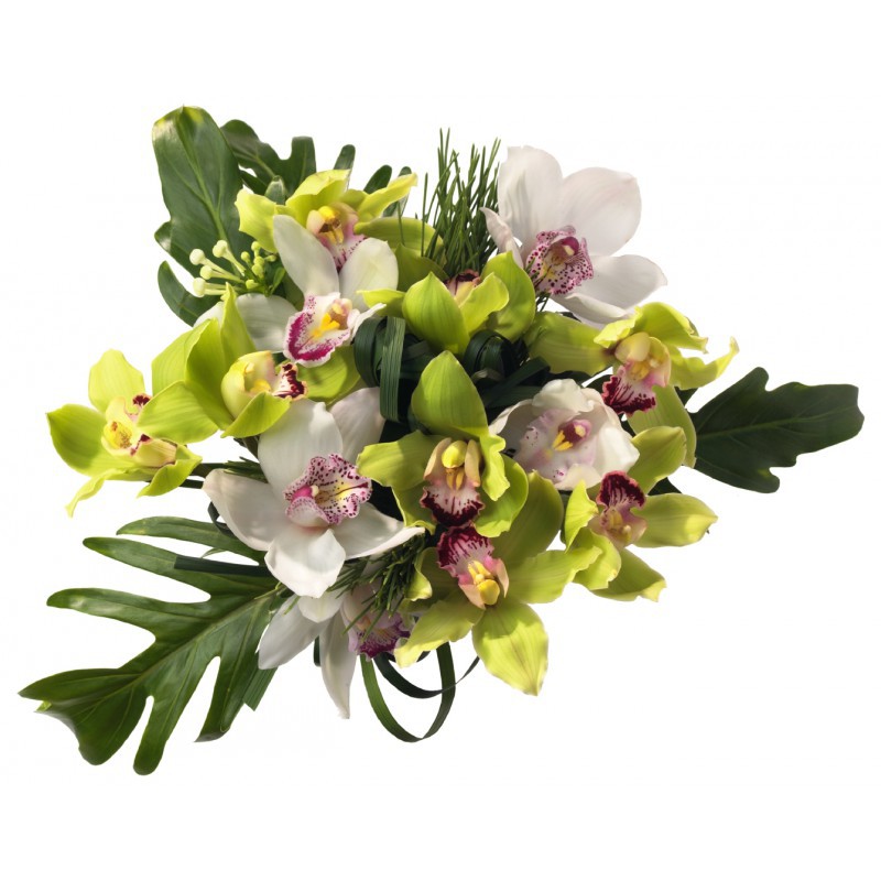 Bouquet Dorchidée Jardin Dafrique Fleurs Exotiques